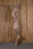 Product image 1 of the product “Root made of teak wood about 165cm height ”